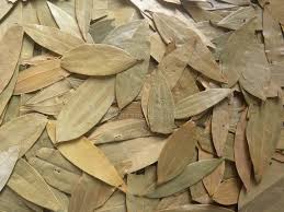 green_cardamom